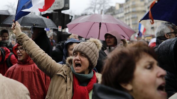Митинг в Париже против насилия на акциях жёлтых жилетов. 27 января 2019