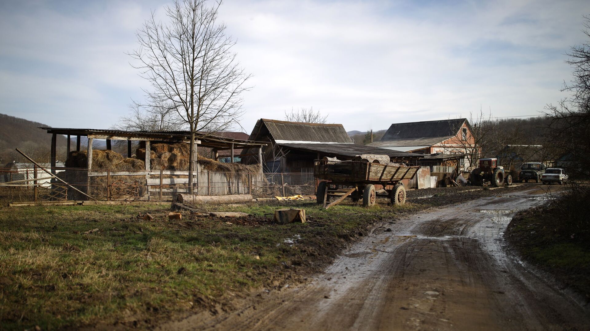 Улица в селе Фанагорийское Краснодарского края - РИА Новости, 1920, 23.10.2024