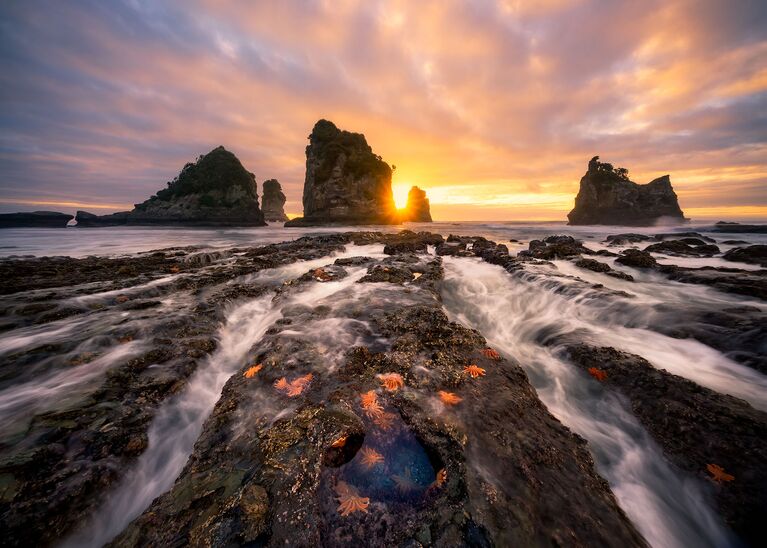 Работа победителя конкурса 2018 Photographer of the year by Panasonic