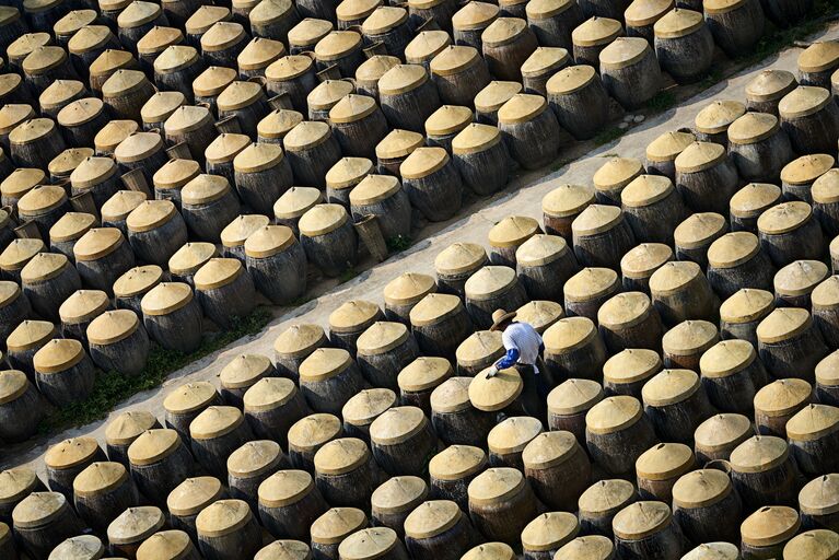 Работа победителя конкурса 2018 Photographer of the year by Panasonic