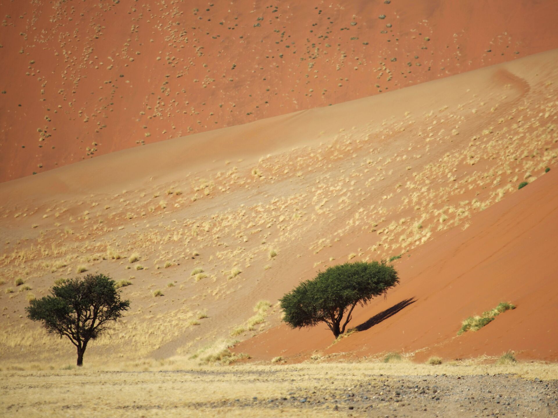 Прикосновение к прошлому: пещеры и свет старых звёзд | AFRICA TRAVEL