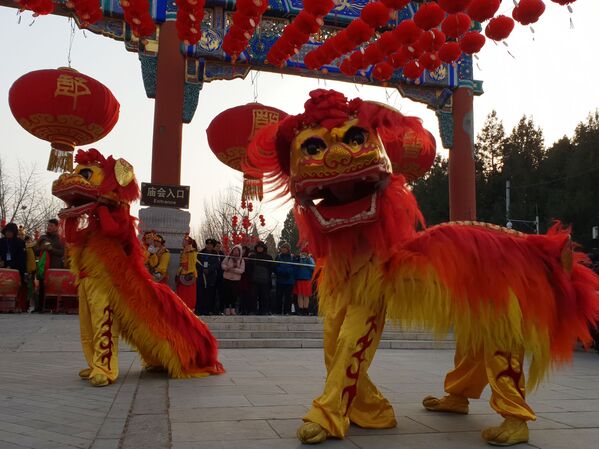 Во время празднования года Земляной свиньи в Китае