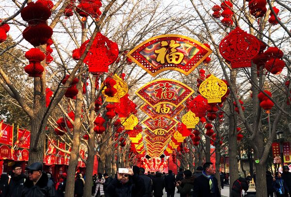 Во время празднования года Земляной свиньи в Китае