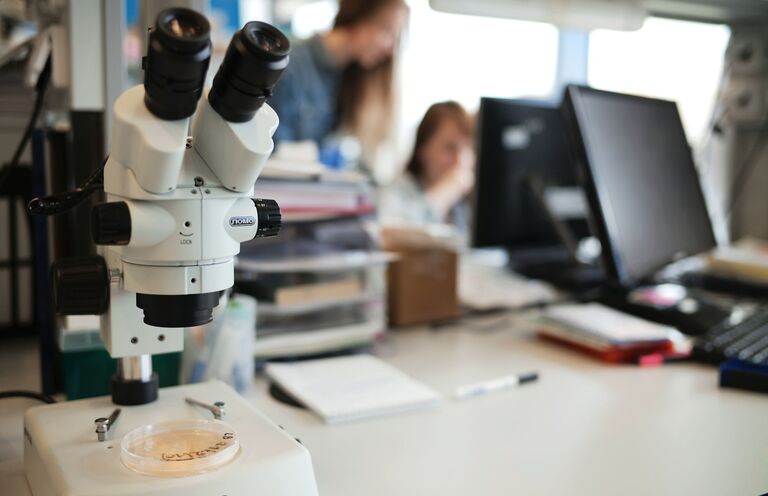 Эксперты: генная терапия поможет в лечении сложных онкологических и иммунных заболеваний