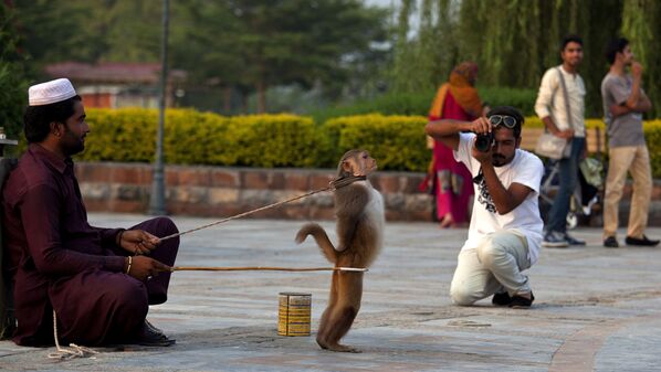 Мужчина фотографирует дрессированную обезьяну в Исламабаде, Пакистан 