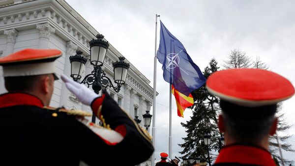 Флаг НАТО перед правительством Македонии в Скопье. 12 февраля 2019