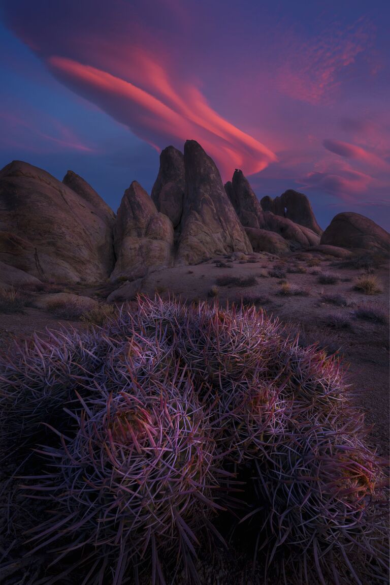 Работа фотографа Miles Morgan. Конкурс фотографии The International Landscape Photographer of the Year 2018