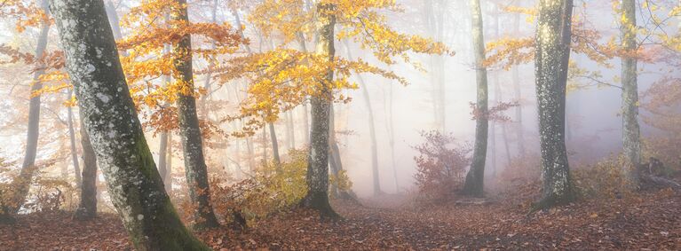 Работа фотографа Oliver Wehrli. Конкурс фотографии The International Landscape Photographer of the Year 2018