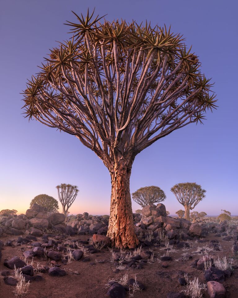 Работа фотографа Andrey Omelyanchuk. Конкурс фотографии The International Landscape Photographer of the Year 2018