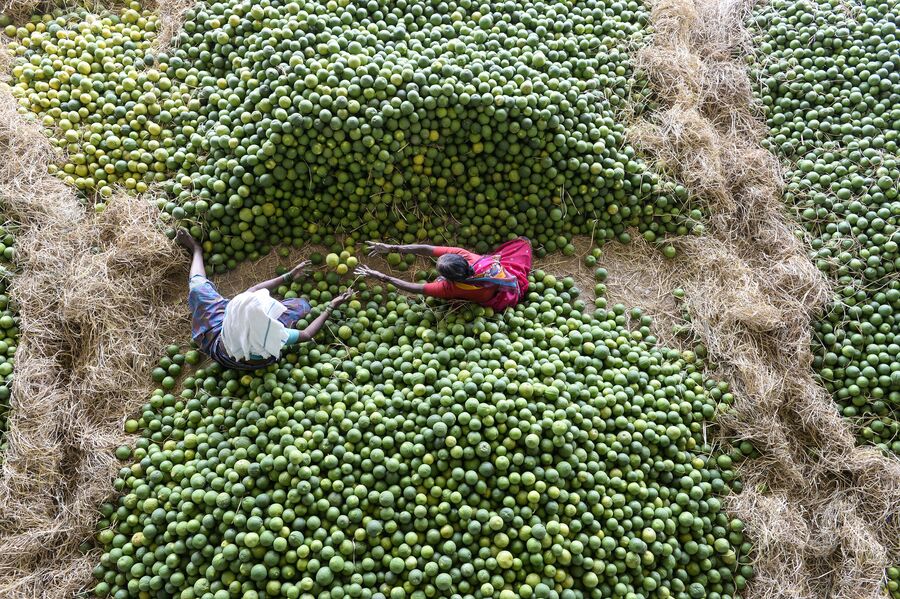 Индийские рабочие отбирают фрукты на рынке неподалеку от Хайдарабада