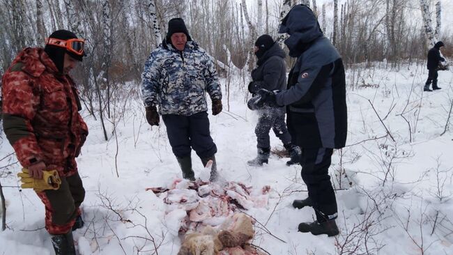 Разделанные туши косуль в Благоварском районе Республики Башкортостан