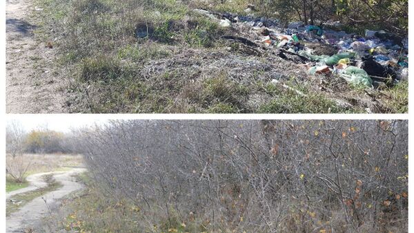ОНФ в Ростовской области выявил факт уборки чиновниками свалок с помощью фоторедактора