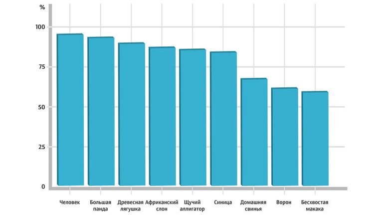Способность распознавать возбуждение в голосе