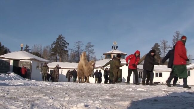 Массовый обряд Жэн тэнгэри яба байкальских шаманов из организации Хухэ Мунхэ Тэнгэри (Вечно синее небо) 