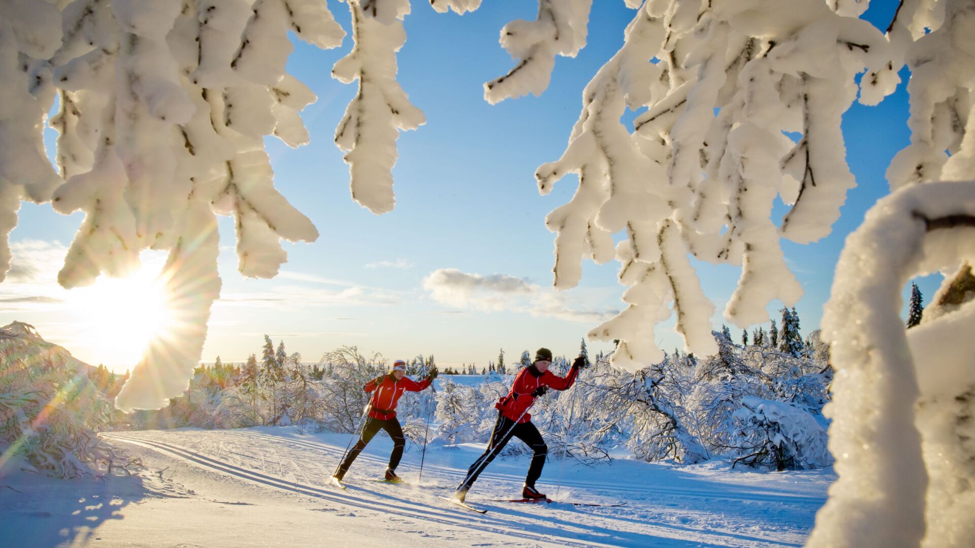 Лыжники на горнолыжном курорте Трюсиль, Норвегия - РИА Новости, 1920, 26.01.2022