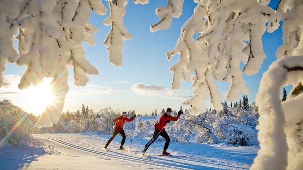 Лыжники на горнолыжном курорте Трюсиль, Норвегия