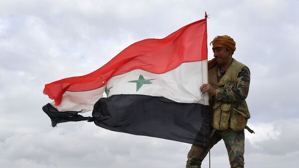 Военнослужащий сирийской армии на передовых позициях в районе города Манбидж