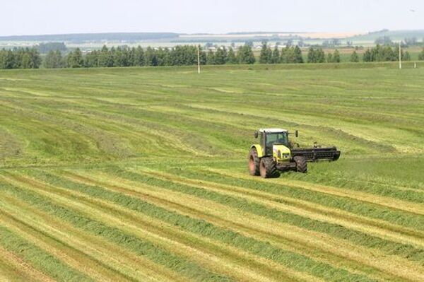 ОЭСР выступит на Зерновом форуме с прогнозами сельхозпроизводства