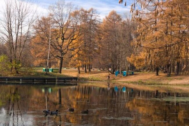 Осень в Сокольниках. Архив