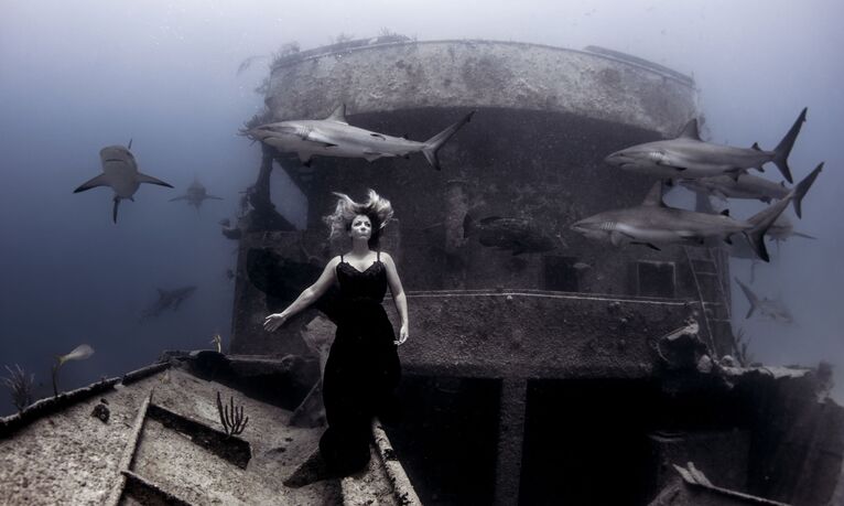 Ken Kiefer. Underwater Photographer of the Year 2019