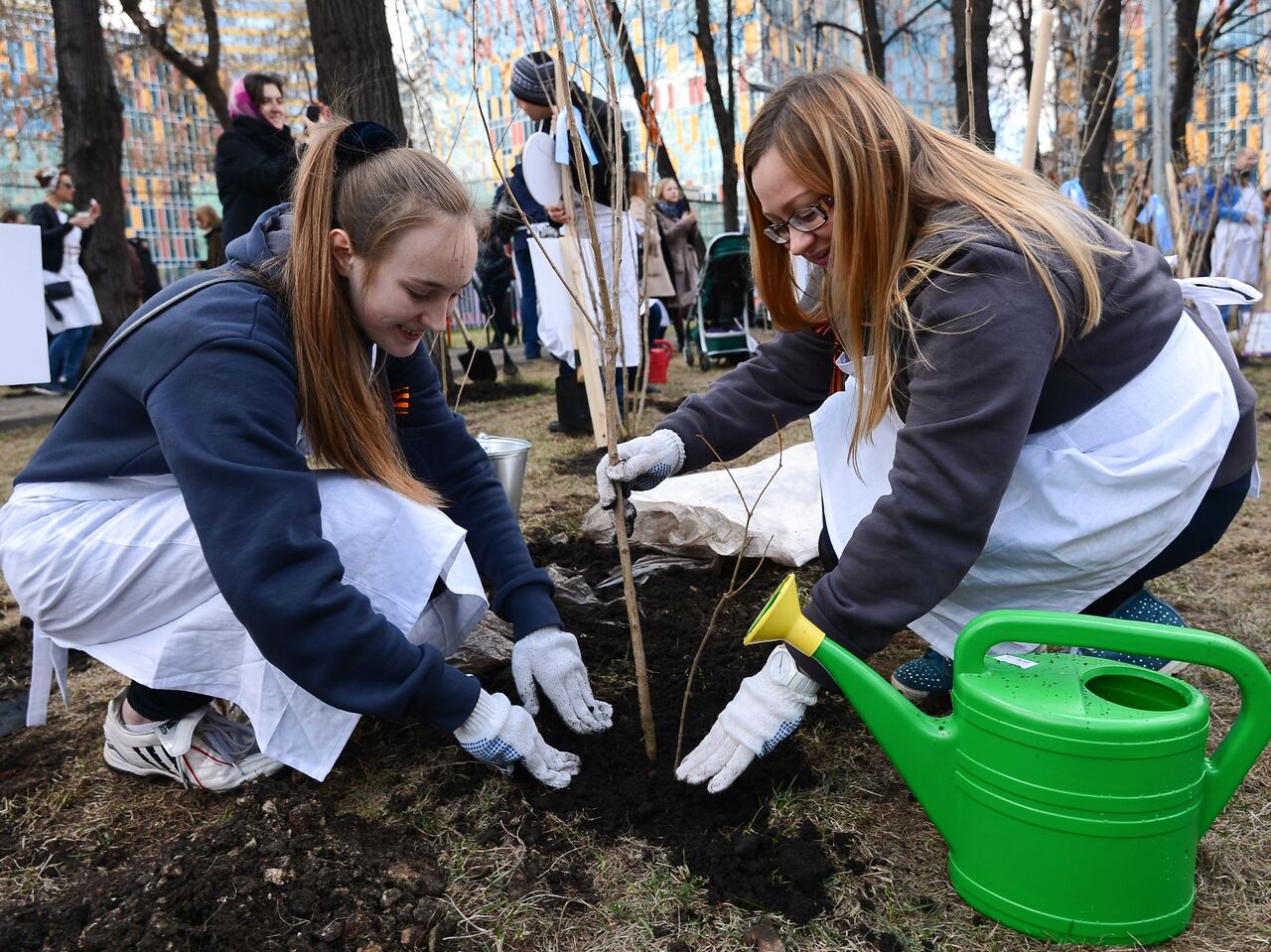 Вам покороче? Как и зачем в Москве обрезают деревья - РИА Новости,  18.04.2022