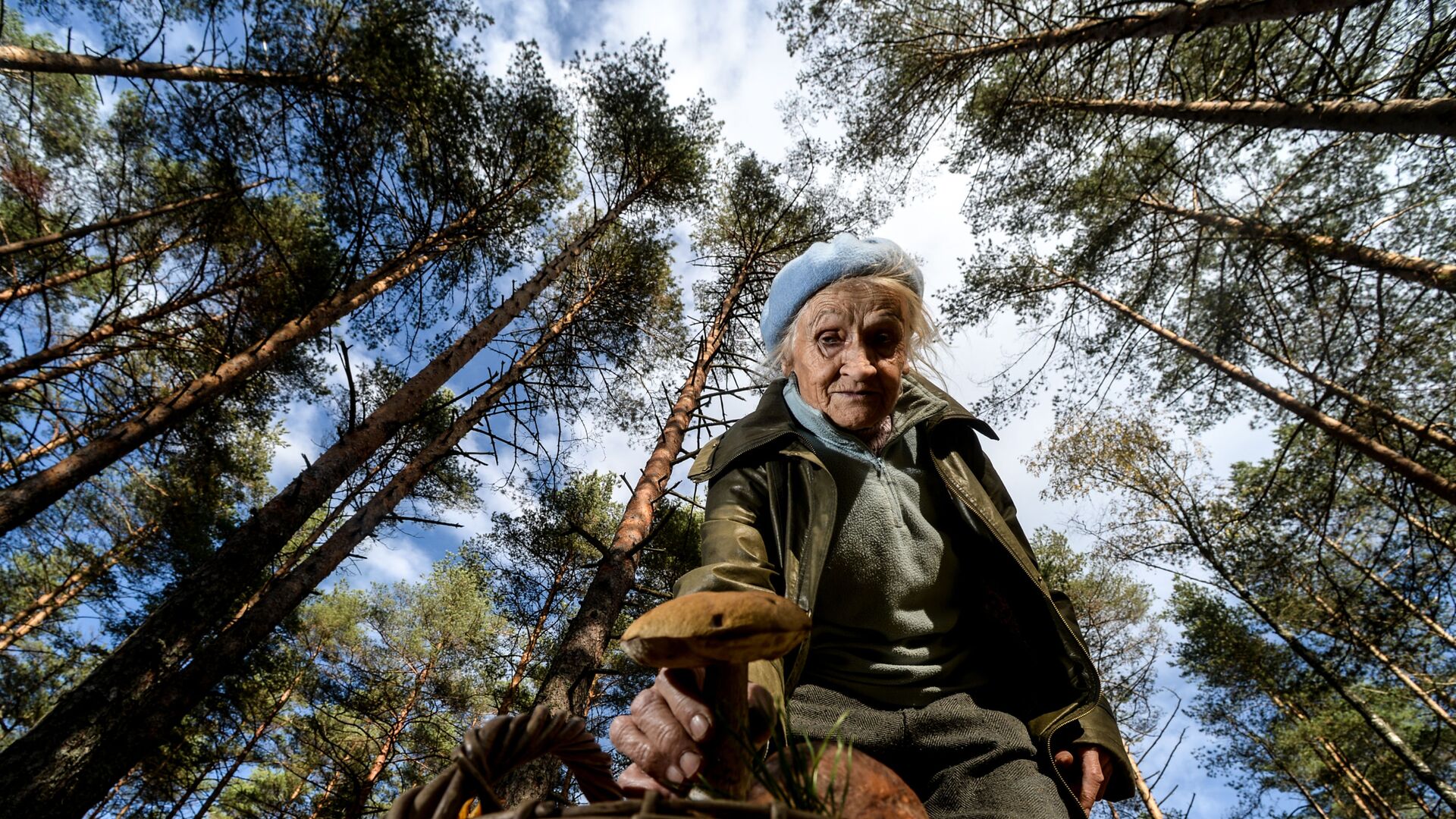 Сбор грибов в Новгородской области - РИА Новости, 1920, 28.02.2019