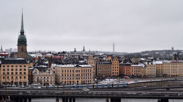 В правящей партии Швеции назрел раскол по вопросу вступления в НАТО