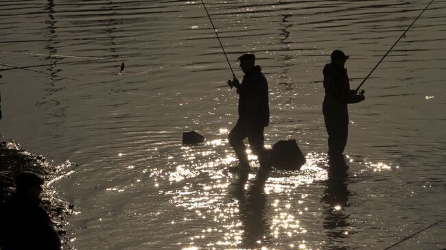 Рыбаки ловят рыбу на берегу Азовского моря