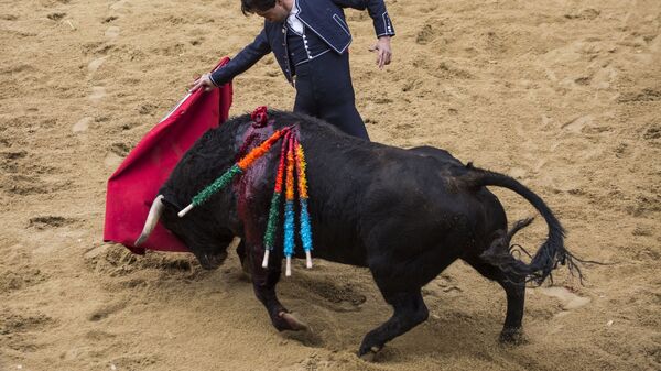 Тореадор во время корриды на карнавале быков в Сьюдад-Родриго