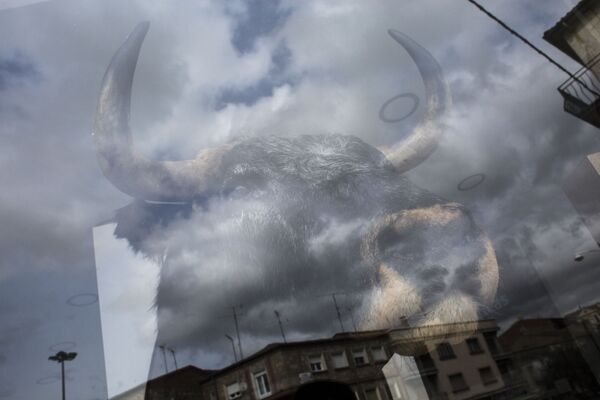 Чучело быка в витрине одного из магазинов в Сьюдад-Родриго