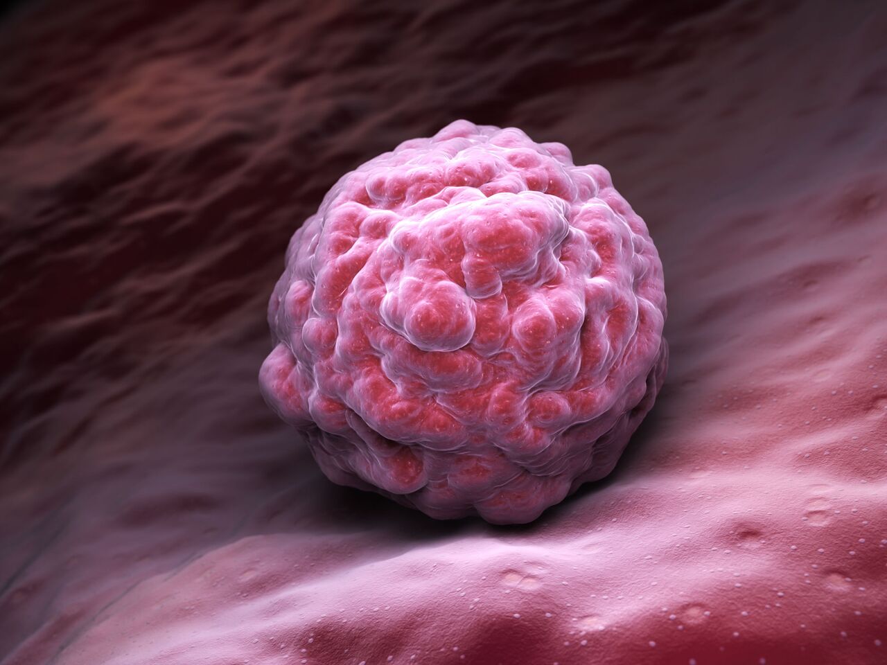 Важность каждого типа стволовых клеток