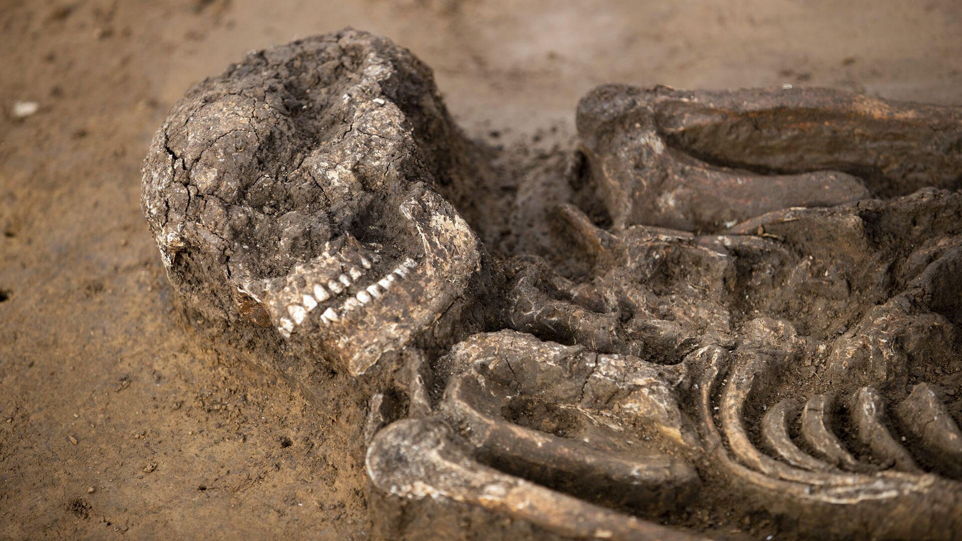 Скелет молодого человека, жившего 6500 лет назад, обнаруженный археологами в Баварии, Германия - РИА Новости, 1920, 21.04.2020