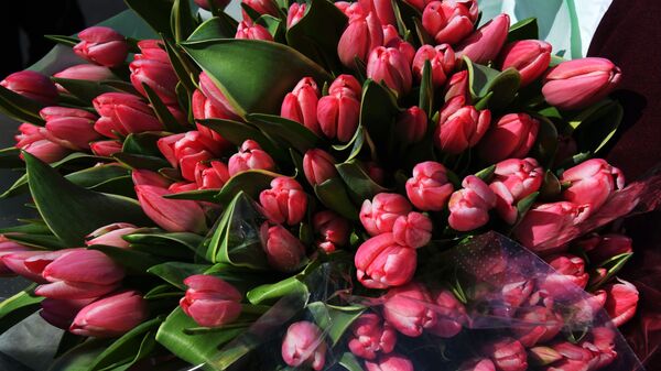 Тюльпаны для поздравления женщин с праздником 8 Марта в рамках общероссийской акции Вам, любимые!
