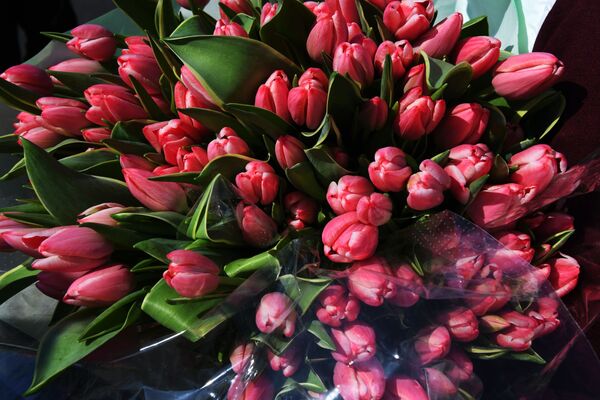 Тюльпаны для поздравления женщин с праздником 8 марта в рамках общероссийской акции Вам, любимые! 