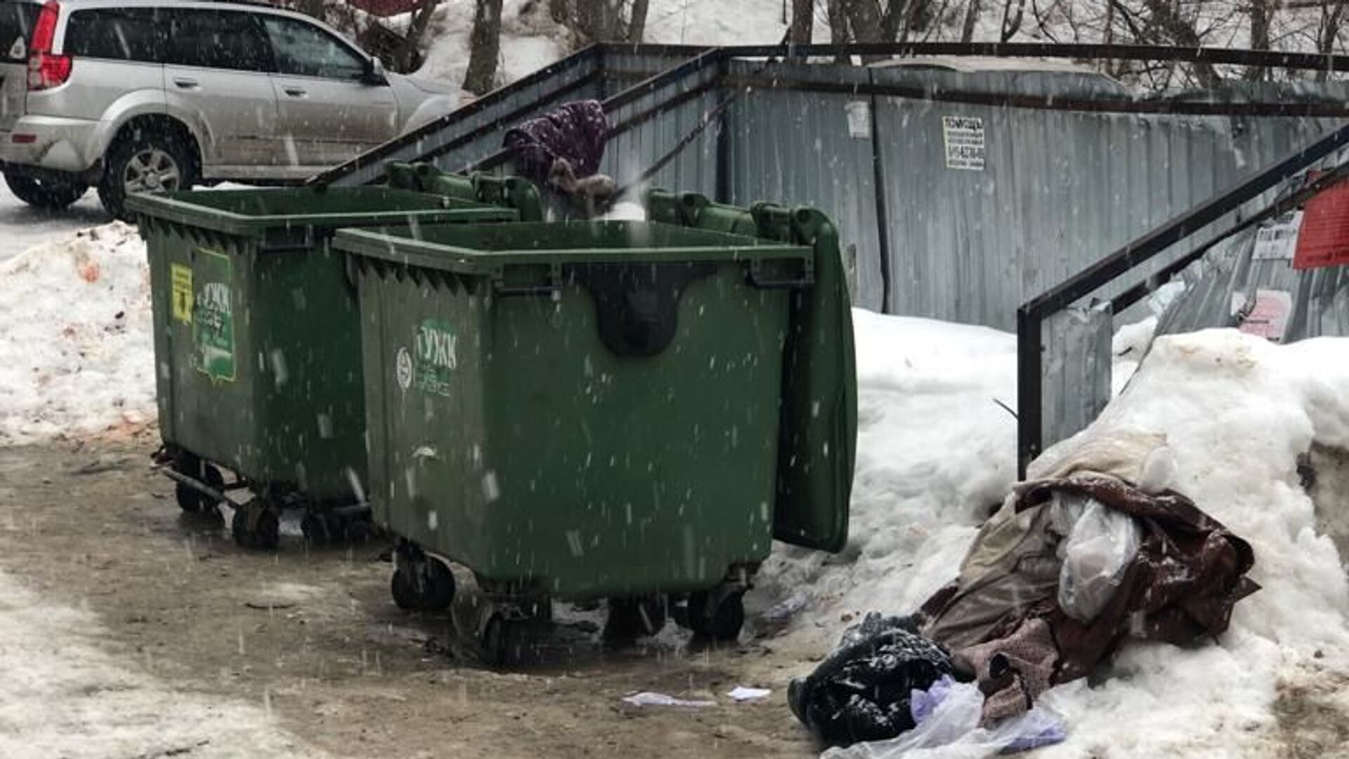 В Рязани мать выбросила новорожденного сына в мусорный контейнер - РИА Новости, 1920, 20.03.2022