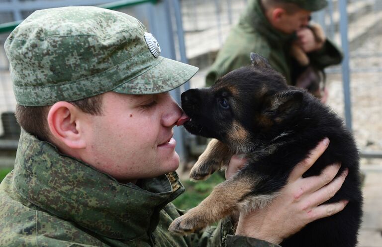 Военнослужащий играет с щенком в вольере служебных собак войск национальной гвардии РФ в дивизии имени Ф. Э. Дзержинского в Московской области