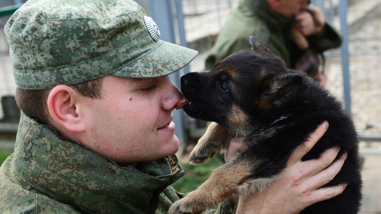 Военнослужащий играет с щенком в вольере служебных собак войск национальной гвардии РФ в дивизии имени Ф. Э. Дзержинского в Московской области