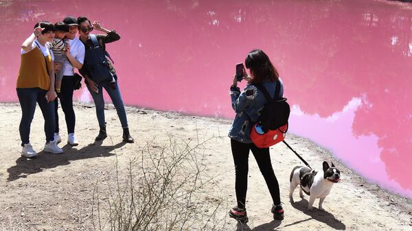 Люди фотографируются у озера в парке Вестгейт, которое окрасилось в розовый цвет в Мельбурне, Австралия