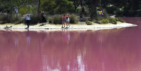 Люди фотографируются у озера в парке Вестгейт, которое окрасилось в розовый цвет в Мельбурне, Австралия