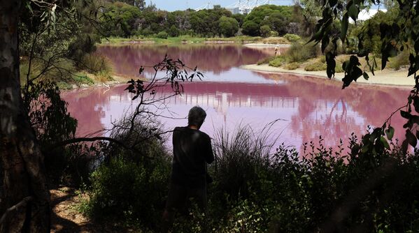 Озеро в парке Вестгейт, которое окрасилось в розовый цвет в Мельбурне, Австралия