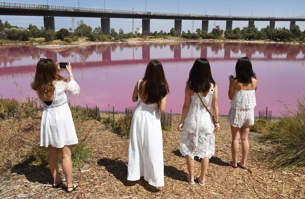 Девушки фотографируют озеро в парке Вестгейт, которое окрасилось в розовый цвет в Мельбурне, Австралия