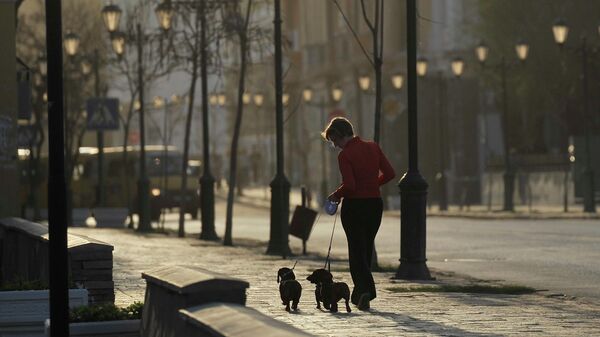 Женщина гуляет с собаками на одной из улиц в центре Астрахани