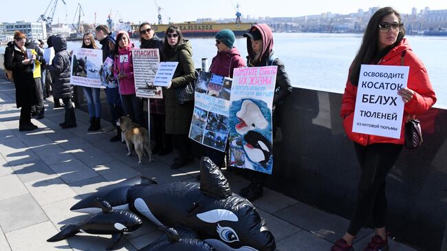 Участники пикета в защиту белух и косаток в бухте Средняя в Приморье. 16 марта 2019