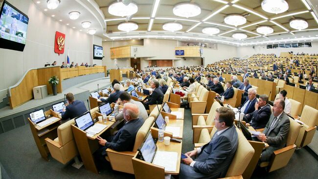 Заседание Государственной Думы РФ. 19 марта 2019