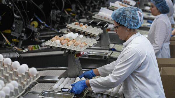 Сотрудницы на участке сортировки и упаковки яиц на птицефабрике Ново-Барышевская в Новосибирской области