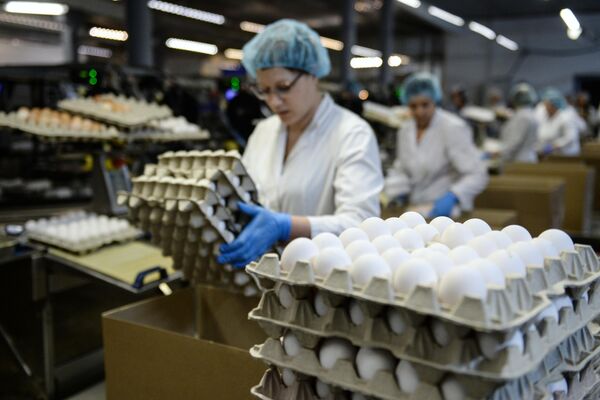 Сотрудница на участке сортировки и упаковки яиц на птицефабрике Ново-Барышевская в Новосибирской области