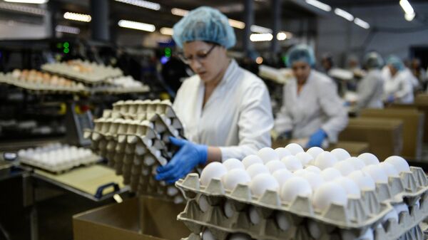 Сотрудница на участке сортировки и упаковки яиц на птицефабрике