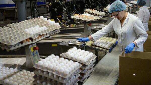 Сотрудницы на участке сортировки и упаковки яиц на птицефабрике 