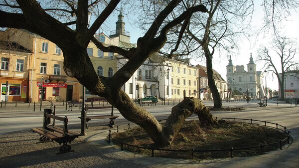 Дерево, преклонившее колени, Польша