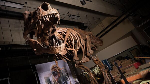 Скелет динозавра Скотти